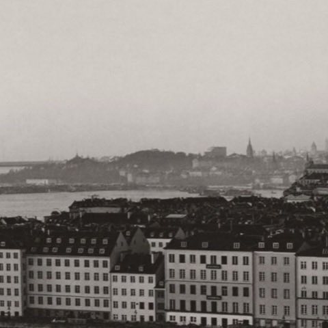 Stadssiluett vid vatten i gryningsdis, svartvitt